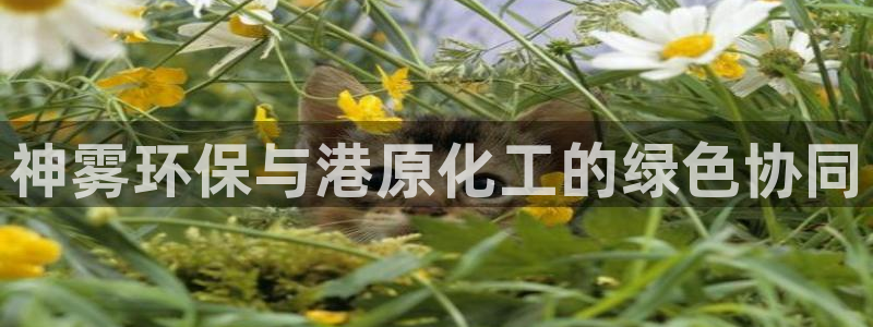 亿万贴吧：神雾环保与港原化工的绿色协同