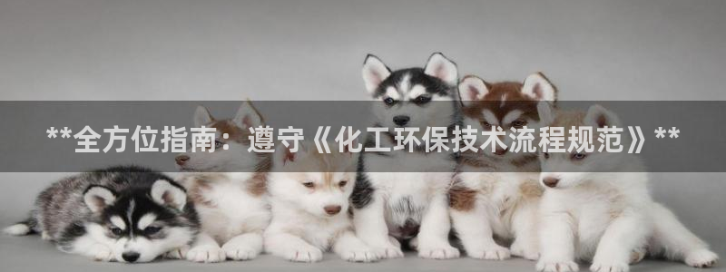 亿万先生官方网站客户端下载安装最新版：**全方位指南：遵守《化工环保技术流程规范》**