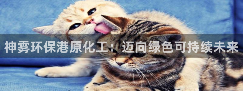 亿万先生客户端：神雾环保港原化工：迈向绿色可持续未来
