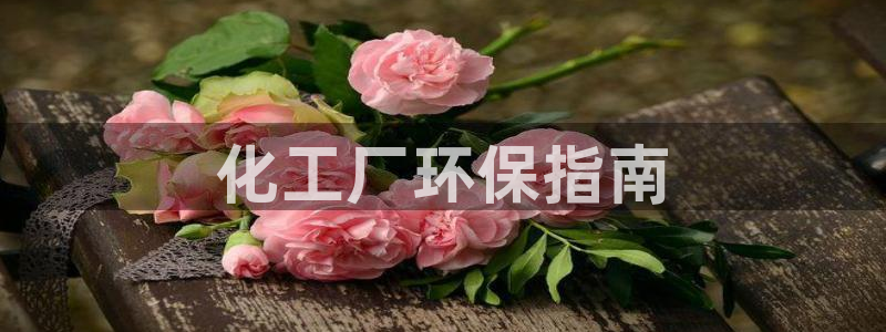 亿万先生换网址了吗：化工厂环保指南