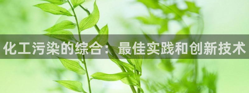 亿万先生换网址了吗：化工污染的综合：最佳实践和创新技术