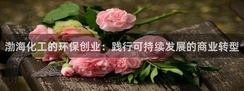亿万网络科技有限公司ceo：渤海化工的环保创业：践行可持续发展的商业转型