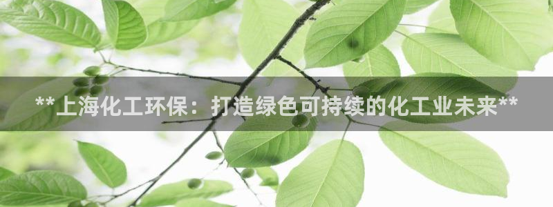 亿万乐购生活超市：**上海化工环保：打造绿色可持续的化工业未来**