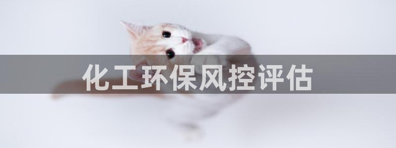 亿万先生游戏平台网址：化工环保风控评估