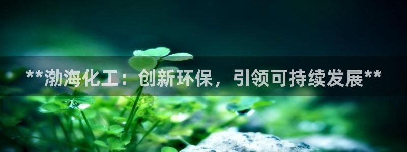 亿万第一季字幕：**渤海化工：创新环保，引领可持续发展**