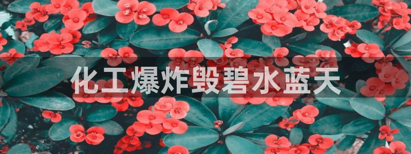 亿万先生换网址了吗知乎：化工爆炸毁碧水蓝天
