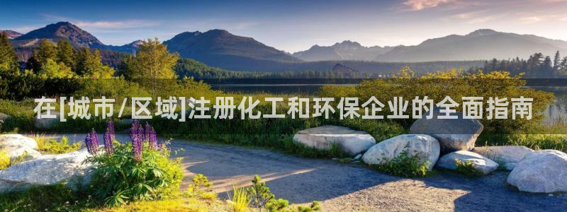亿万先生mr008cc官网：在[城市/区域]注册化工和环保企业的全面指南