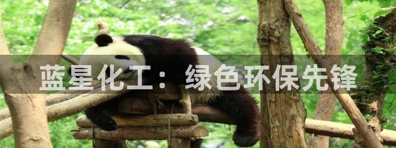 亿万先生客户端怎么下载：蓝星化工：绿色环保先锋