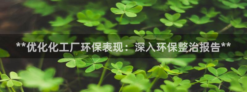 亿万先生客服联系方式查询：**优化化工厂环保表现：深入环保整治报告**
