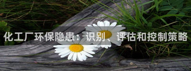 官方网站下载亿万人生：化工厂环保隐患：识别、评估和控制策略