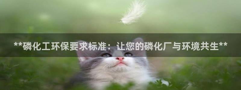 亿万先生客户端官网首页：**磷化工环保要求标准：让您的磷化厂与环境共生**