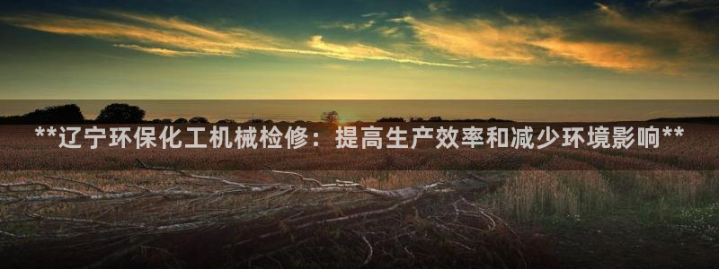 亿万先生网页在线客服：**辽宁环保化工机械检修：提高生产效率和减少环境影响**