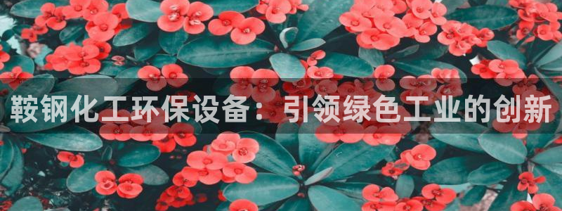 亿万先生 手机版下载安装：鞍钢化工环保设备：引领绿色工业的创新