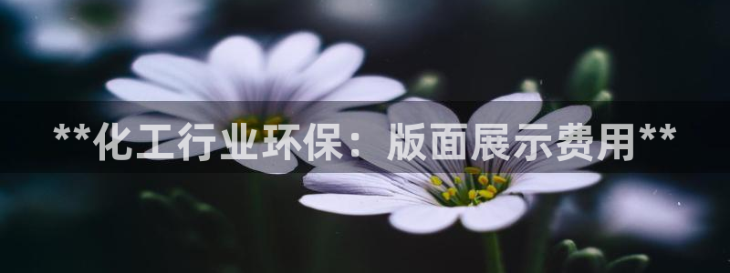 亿万官网字幕：**化工行业环保：版面展示费用**