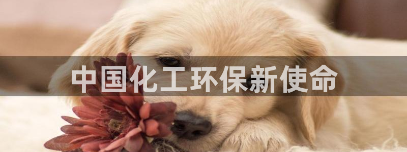 亿万先生手机版客户端下载安装：中国化工环保新使命
