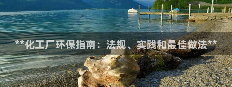 亿万第一集：**化工厂环保指南：法规、实践和最佳做法**