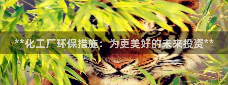 亿万先生手机客户端：**化工厂环保措施：为更美好的未来投资**