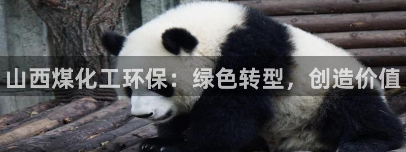 亿万先生手机网页：山西煤化工环保：绿色转型，创造价值