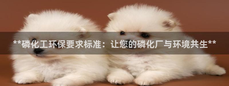 亿万财富网：**磷化工环保要求标准：让您的磷化厂与环境共生**