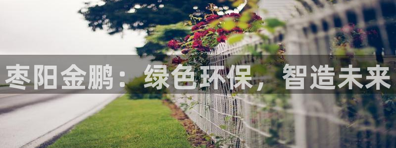 亿万网友在线实时为您解答：枣阳金鹏：绿色环保，智造未来