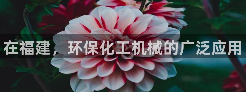 亿万先生用什么客户端：在福建，环保化工机械的广泛应用