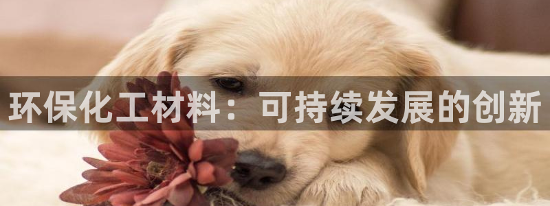 亿万先生网站：环保化工材料：可持续发展的创新