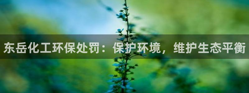 亿万先生客户端官网登录不上：东岳化工环保处罚：保护环境，维护生态平衡