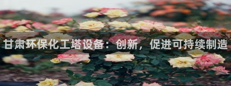 亿万app：甘肃环保化工塔设备：创新，促进可持续制造