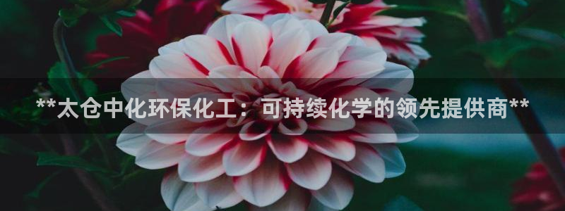 亿万先生合并最新消息：**太仓中化环保化工：可持续化学的领先提供商**