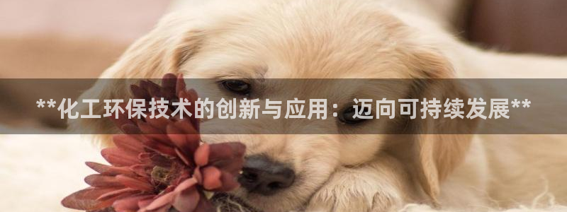 亿万网友在线实时为您解答：**化工环保技术的创新与应用：迈向可持续发展**