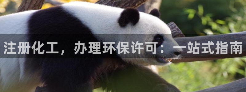 亿万网络科技有限公司ceo：注册化工，办理环保许可：一站式指南