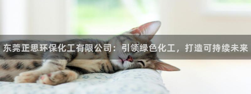 亿万先生手机客户端：东莞正思环保化工有限公司：引领绿色化工，打造可持续未来