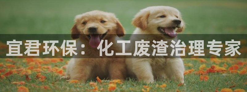 亿万官网字幕：宜君环保：化工废渣治理专家