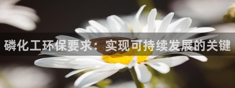 亿万先生007官网：磷化工环保要求：实现可持续发展的关键