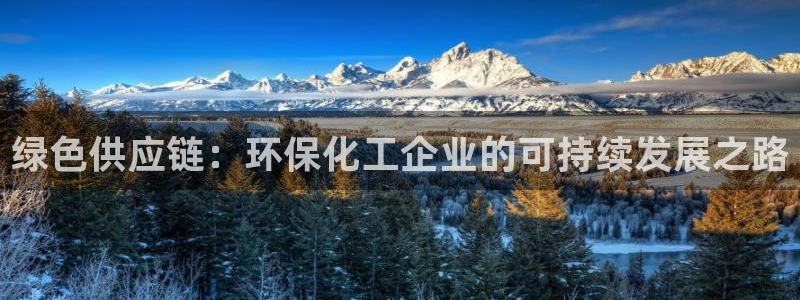 亿万网友在线实时为你解答：绿色供应链：环保化工企业的可持续发展之路