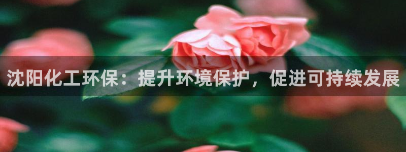 亿万网络科技有限公司：沈阳化工环保：提升环境保护，促进可持续发展
