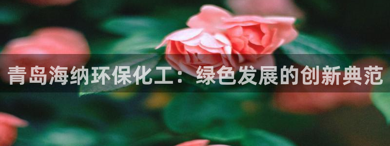 亿万先生情侣车有什么用：青岛海纳环保化工：绿色发展的创新典范