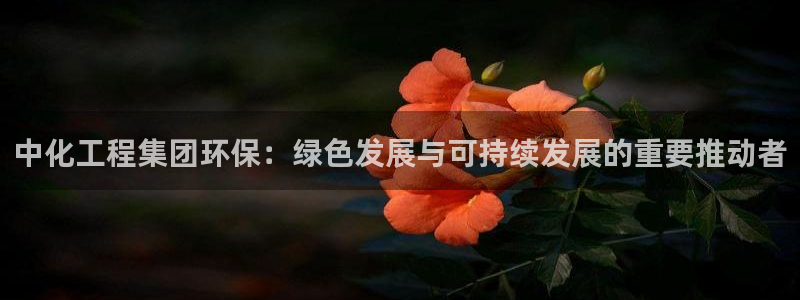 亿万网络科技有限公司ceo：中化工程集团环保：绿色发展与可持续发展的重要推动者