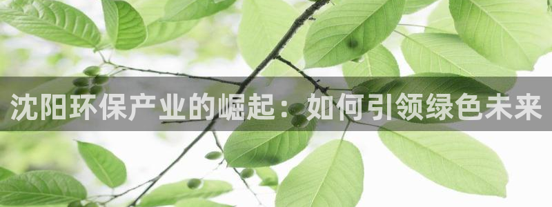 亿万手游平台官网：沈阳环保产业的崛起：如何引领绿色未来