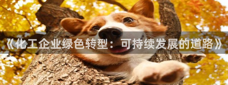 亿万百度百科官网：《化工企业绿色转型：可持续发展的道路》