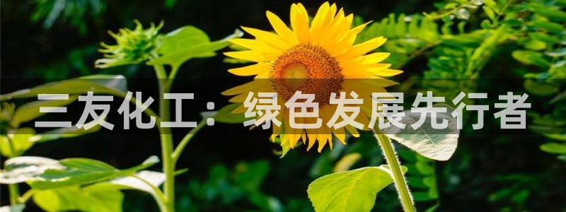 亿万先生客服联系：三友化工：绿色发展先行者