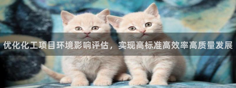 亿万同人字幕组微博的微博：优化化工项目环境影响评估，实现高标准高效率高质量发展