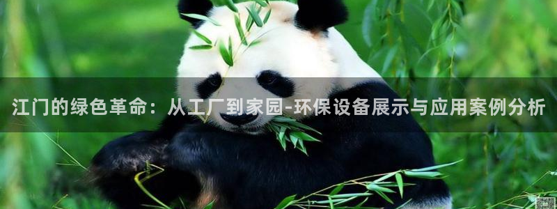 mr8001亿万先生：江门的绿色革命：从工厂到家园-环保设备展示与应用案例分析