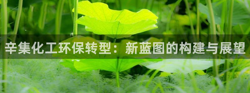 亿万先生 手机版下载安装：辛集化工环保转型：新蓝图的构建与展望