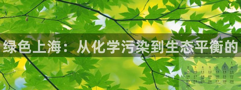 亿万国际游戏官网：绿色上海：从化学污染到生态平衡的