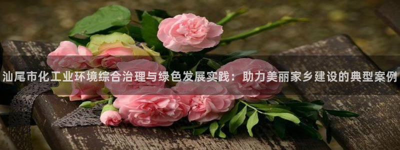 亿万贴吧：汕尾市化工业环境综合治理与绿色发展实践：助力美丽家乡建设的典型案例