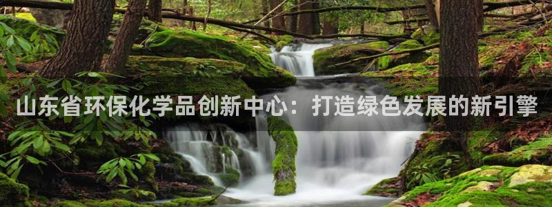 亿万先生app：山东省环保化学品创新中心：打造绿色发展的新引擎
