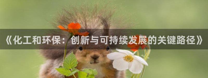 亿万app下载：《化工和环保：创新与可持续发展的关键路径》