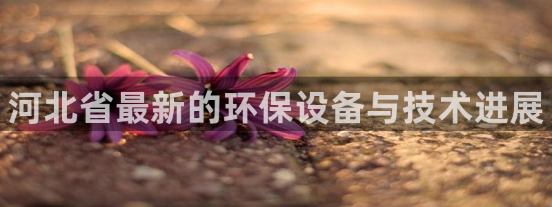 亿万先生mr：河北省最新的环保设备与技术进展