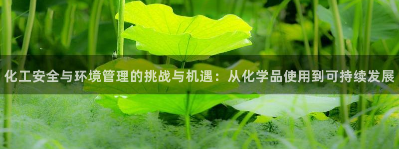 亿万第一集：化工安全与环境管理的挑战与机遇：从化学品使用到可持续发展